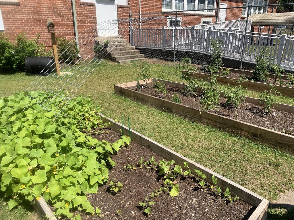 Hargrave Elementary School's garden beds