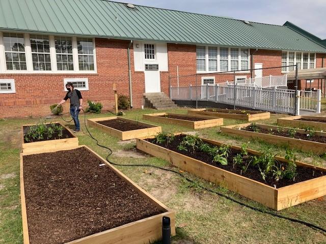 Hargrave Elementary School's raised garden beds