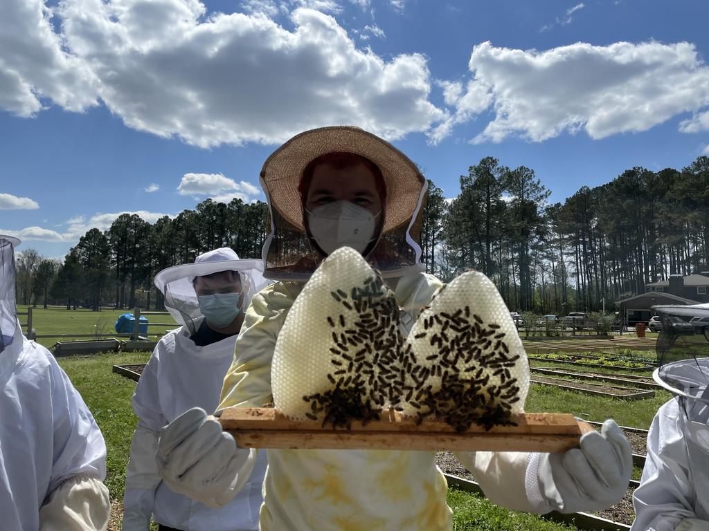 student with honey bee comb