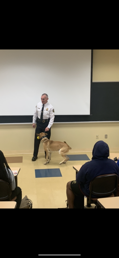 Hope Mills Chief of Police Steve Dollinger visits Mr. Jesse McQueen's criminal justice class with police canine, Kaeden.