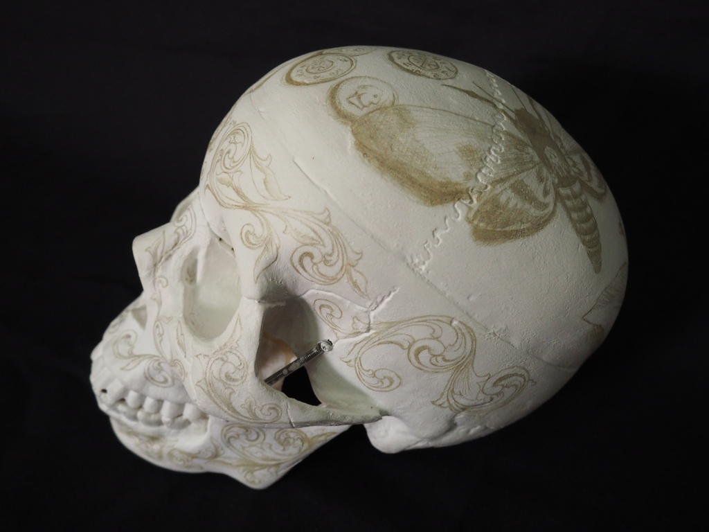 Silverpoint Skull