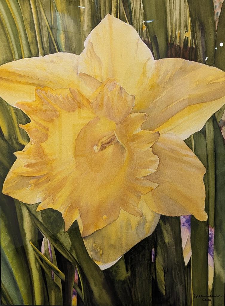 Daffodil by Dreamweaver
