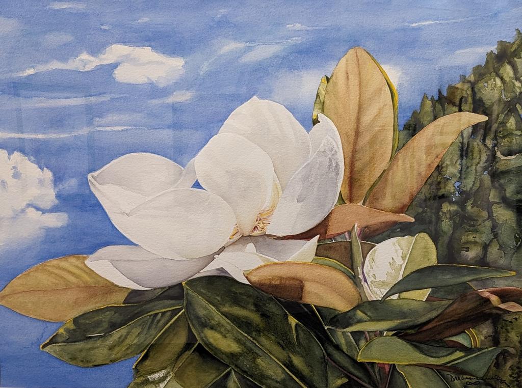 Magnolia by Dreamweaver
