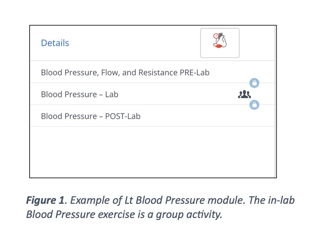 Figure 1. Example of Lt Blood Pressure module