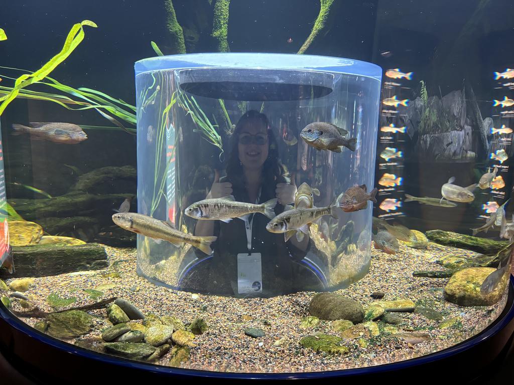 Erika Rivera seemingly under water in the Tennessee Aquarium