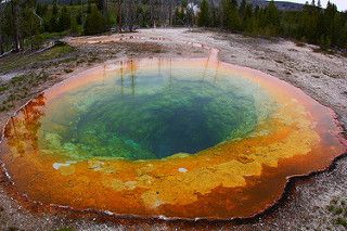 Morning Glory Pool, Yellowstone National Park by daveynin, on Flickr