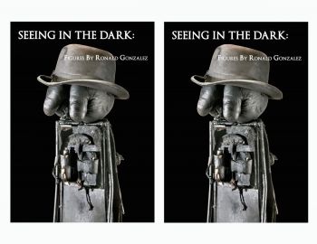 Seeing in the Dark: Figures by Ronald Gonzalez