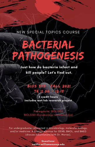 Flyer for BIOS 3115 Bacterial Pathogenesis