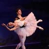 he Dance Alive National Ballet will present "Swan Lake"